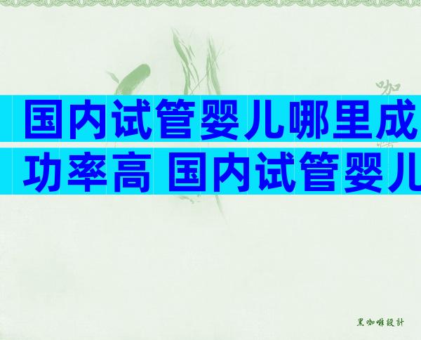 国内试管婴儿哪里成功率高 国内试管婴儿哪家